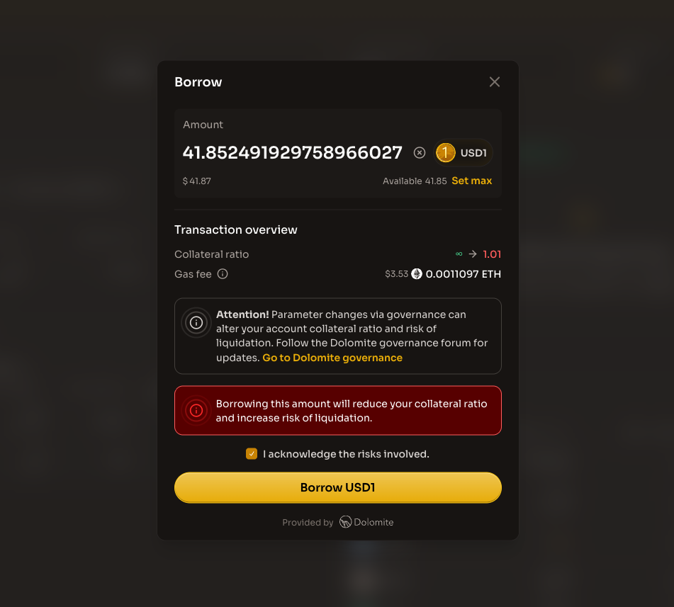 Borrow modal showing liquidation risk warning with acknowledgment checkbox